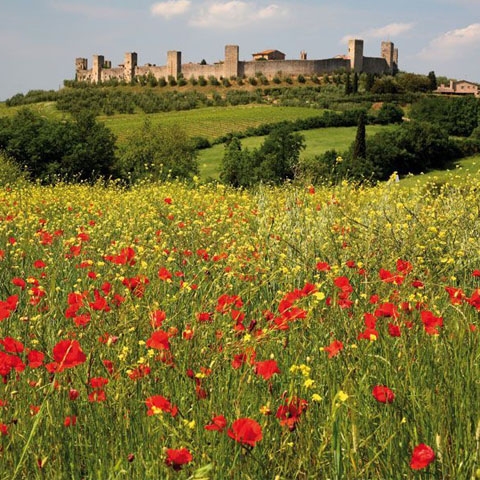 Monteriggioni