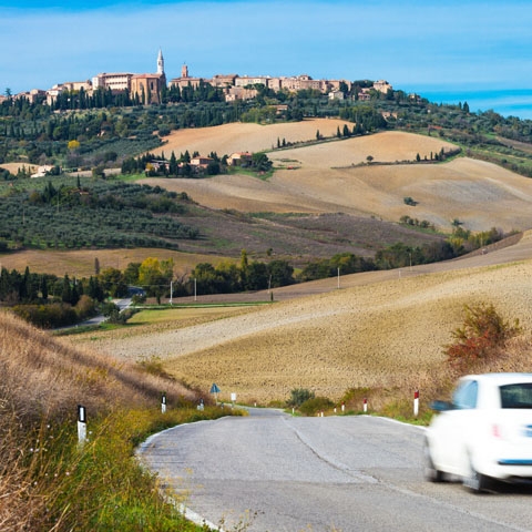 Siena Area