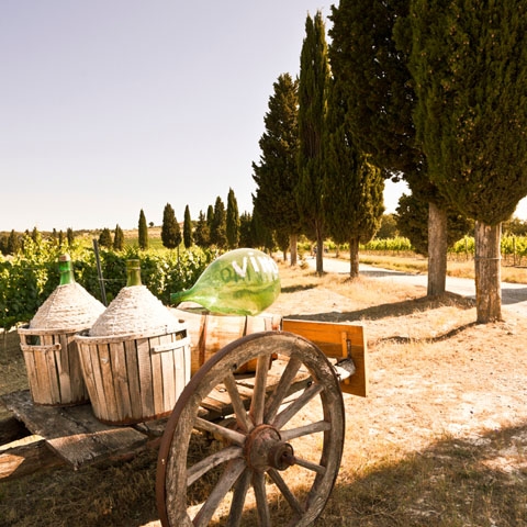 Chianti