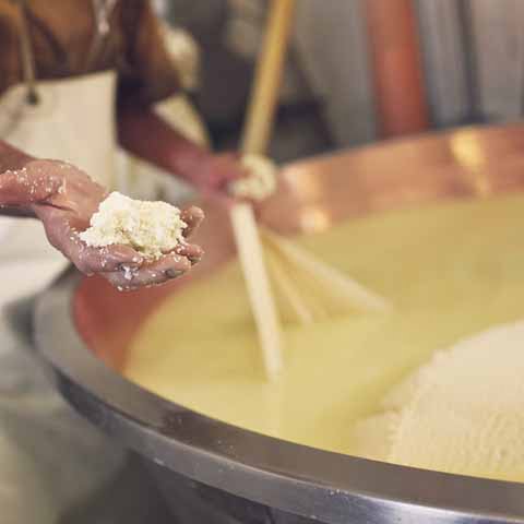 Florence