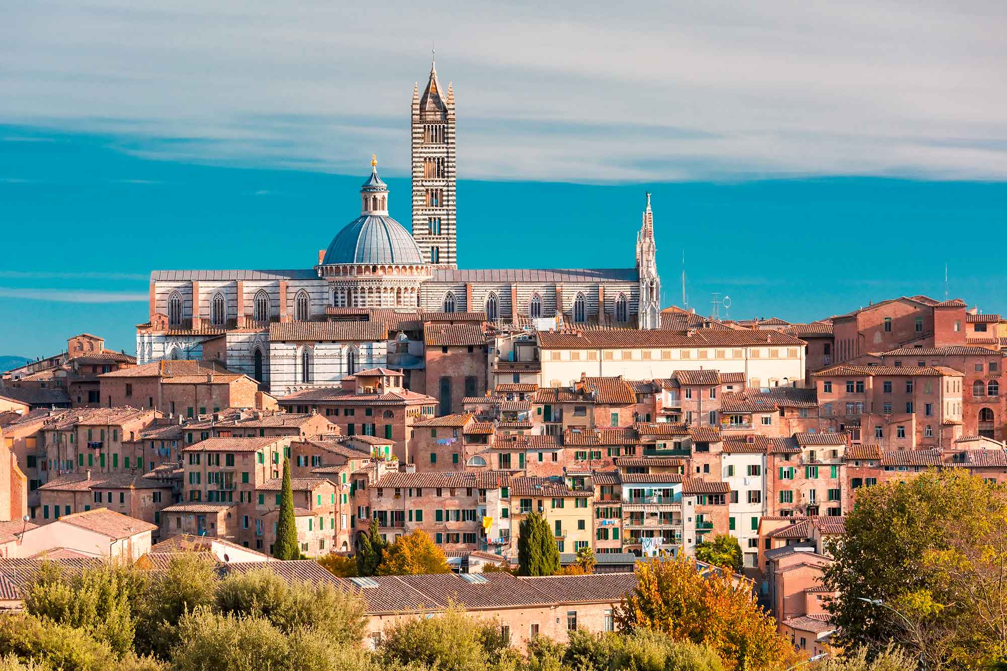 Siena Duomo and terracotta rooftops of the old city in Tuscany